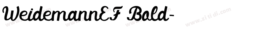 WeidemannEF Bold字体转换